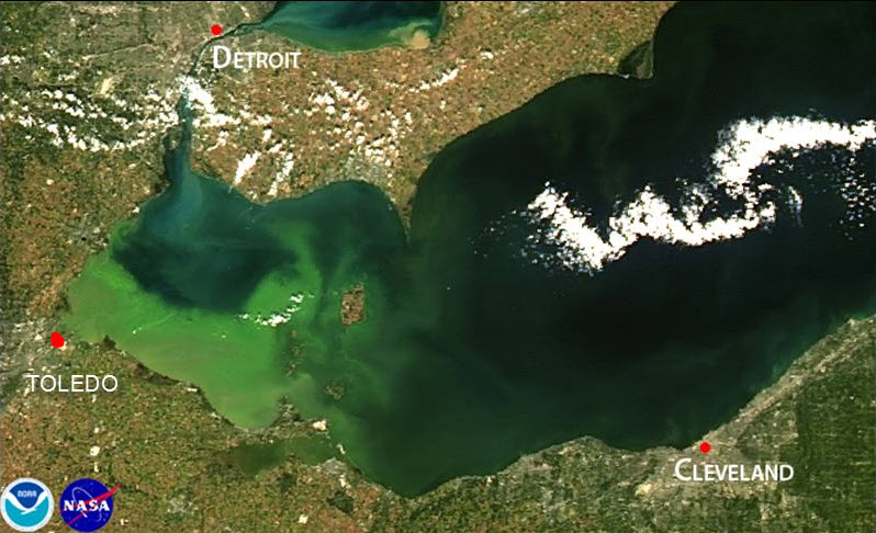 algae-space.jpg