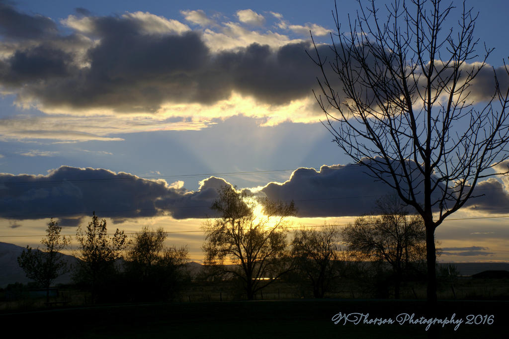 Almost Sunset 11-17-2016.jpg