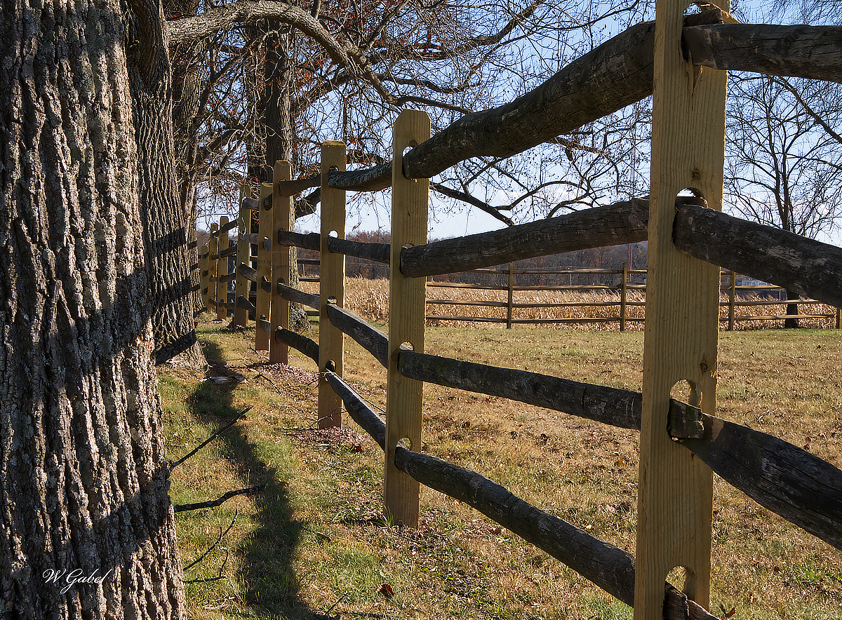 AlmsHousecemetery2 sm.jpg
