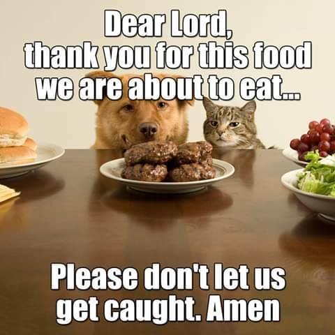 amen.jpg