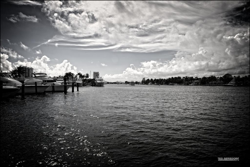 American Venice FTL 8 bw.jpg