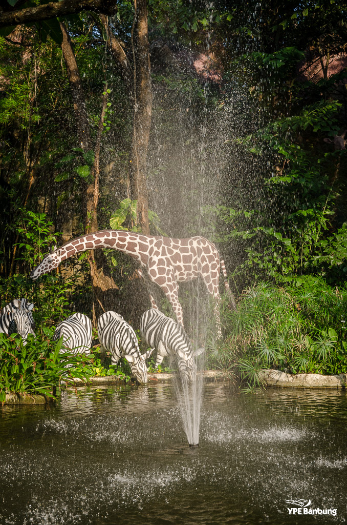 animals-safari-1.jpg