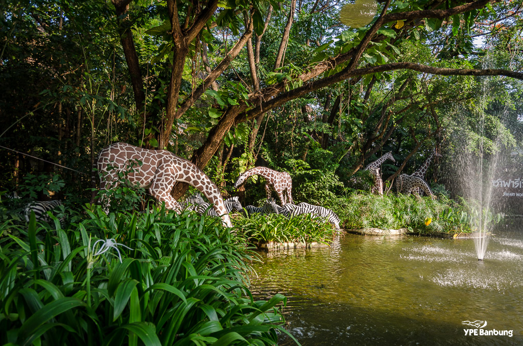 animals-safari-3.jpg