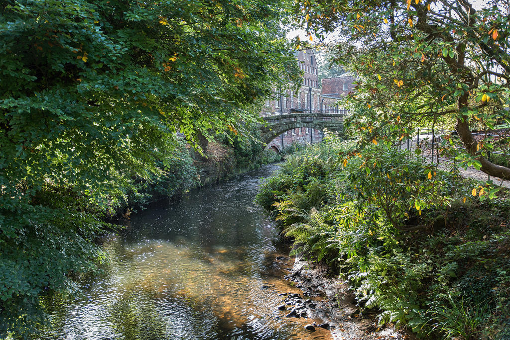 Another-Bridge.jpg