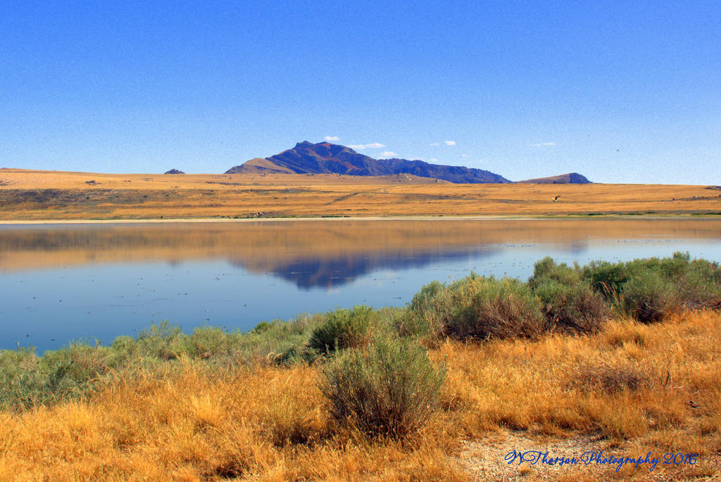 Antelope Burn Scar Reflected in the Salt Lake 7-27-2016.jpg