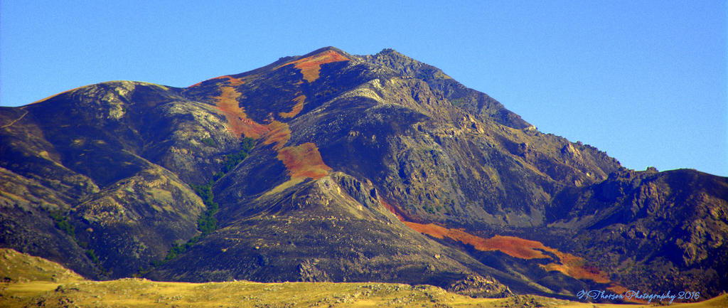 Antelope West Side Burn Scar 7-27-2016.jpg