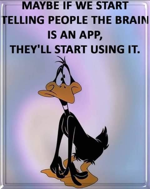 app.jpg