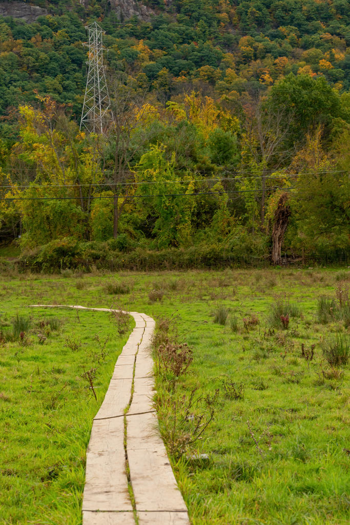 App Trail Back.jpg