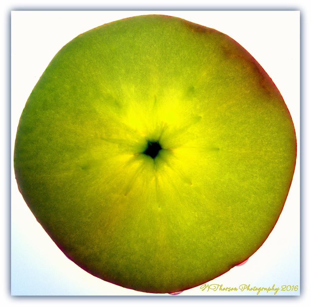 Apple Slice 5-4-2016.jpg