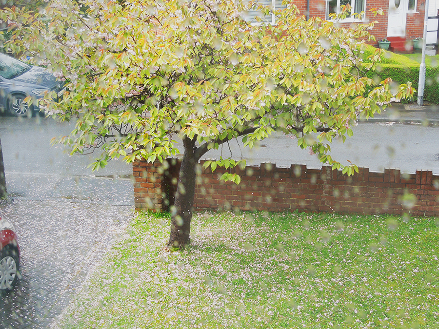 April_Showers-2.jpg