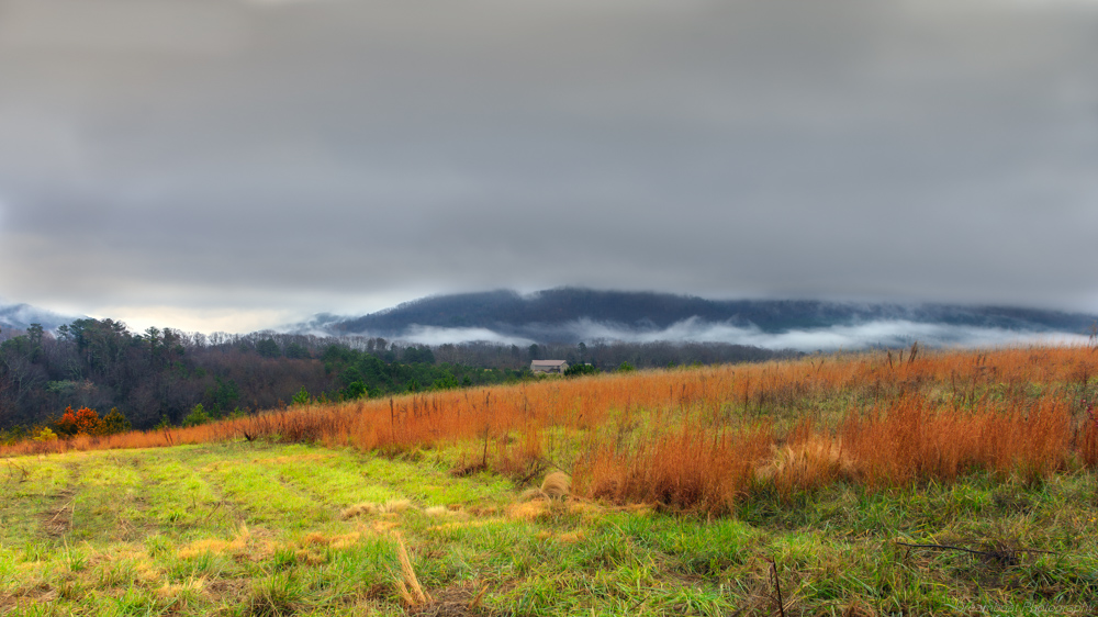 Around Benton,TN--10.jpg