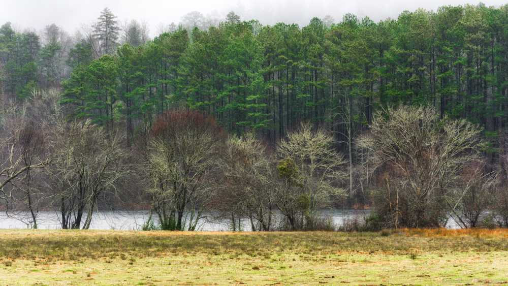 Around Benton,TN--3.jpg