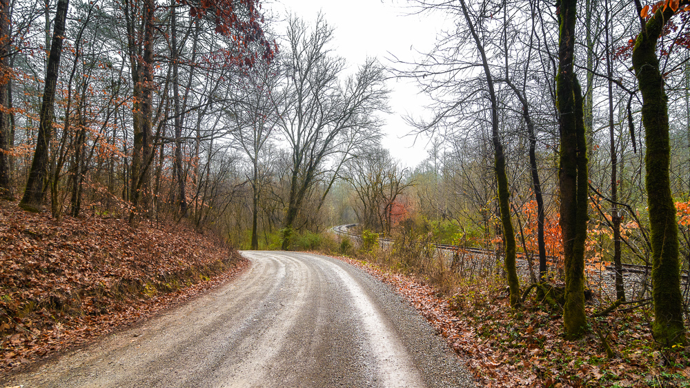 Around Benton,TN--5.jpg