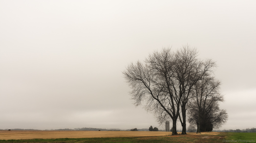 Around Benton,TN--9.jpg