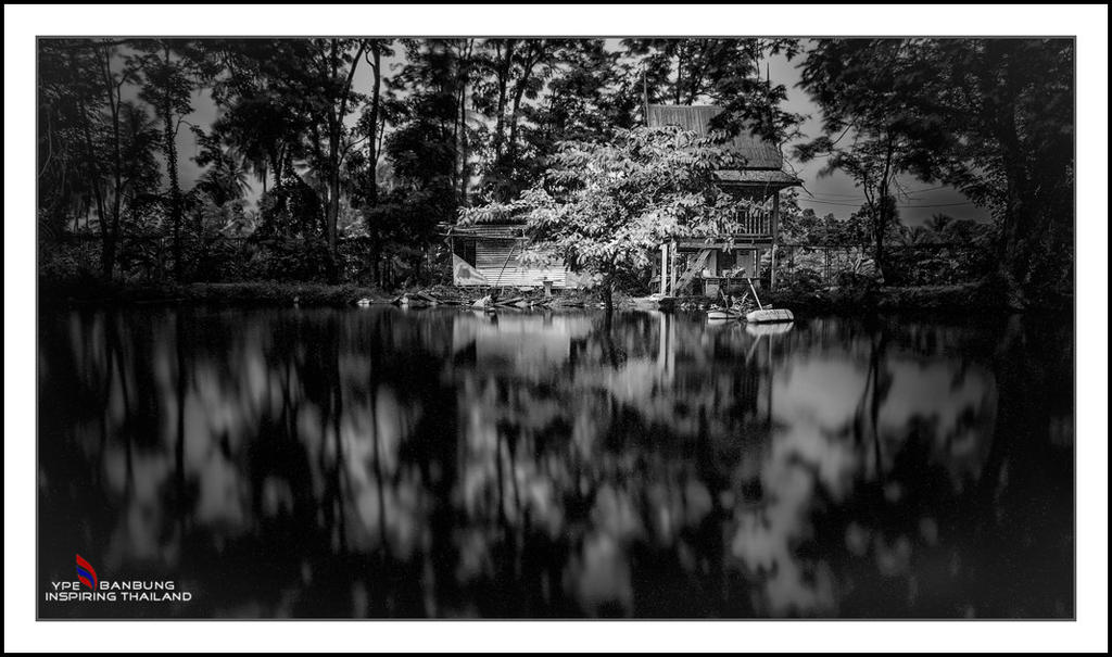 at a pond-1.jpg