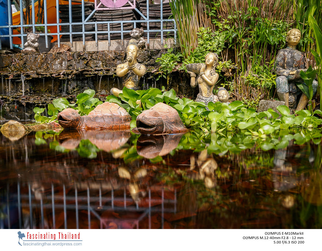at-a-small-pond-3.jpg