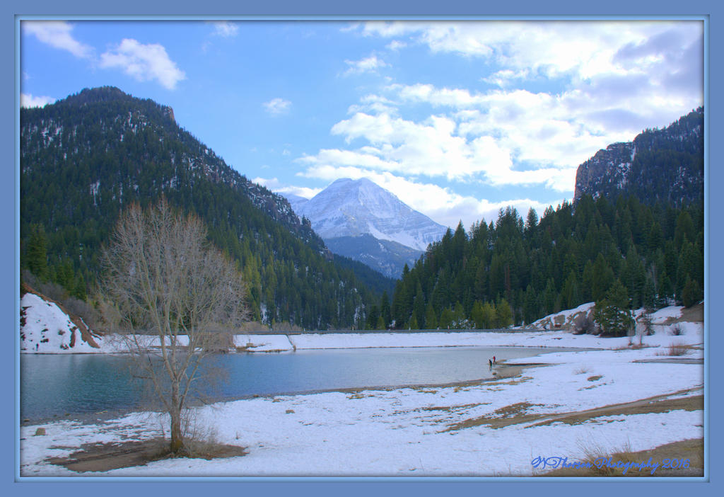 At the Top of the Mountains 3-7-2016.jpg