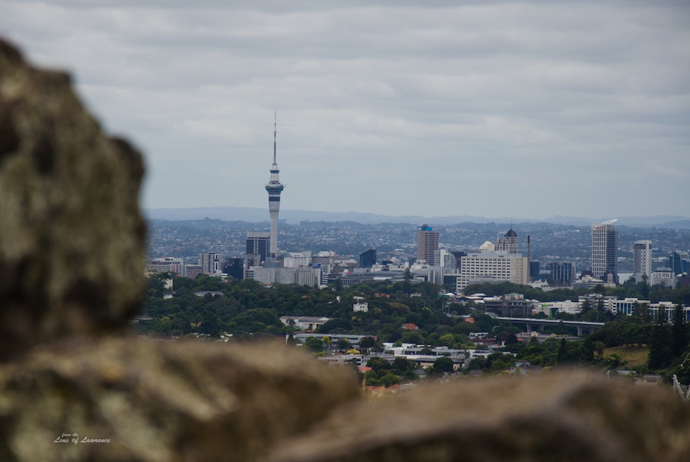 Auckland focused LOL.jpg