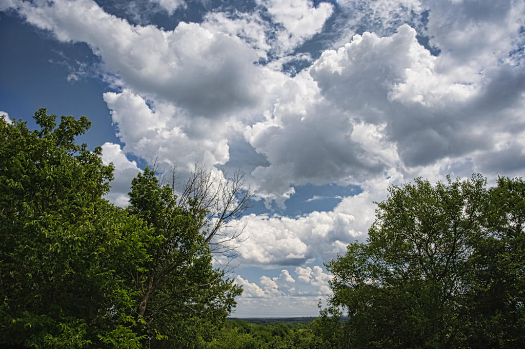 August Clouds-2128.jpg