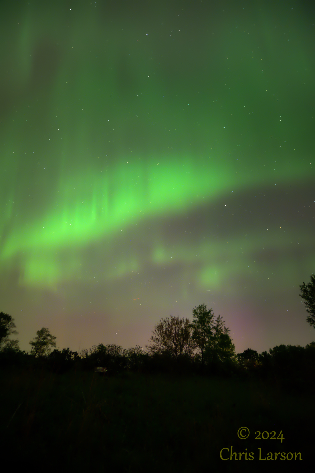Aurora 2024-05-10 DSC_2824.jpg
