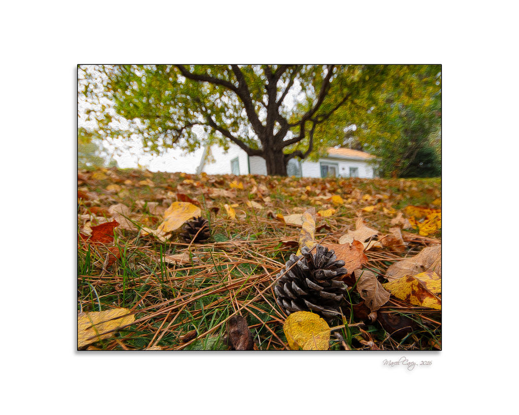 Automne sous le pommier.jpg