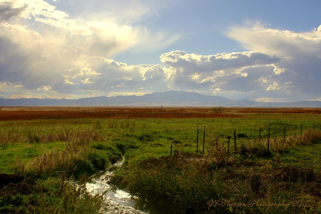 Autumn Afternoon 10-18-2016.jpg