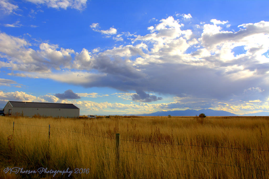 Autumn Afternoon #3 10-18-2016.jpg