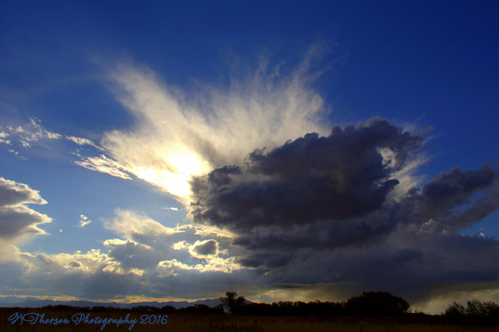 Autumn Afternoon #4 10-18-2016.jpg