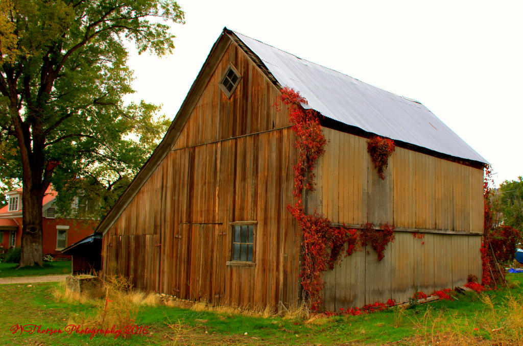 Autumn Barn 10-17-2016.jpg