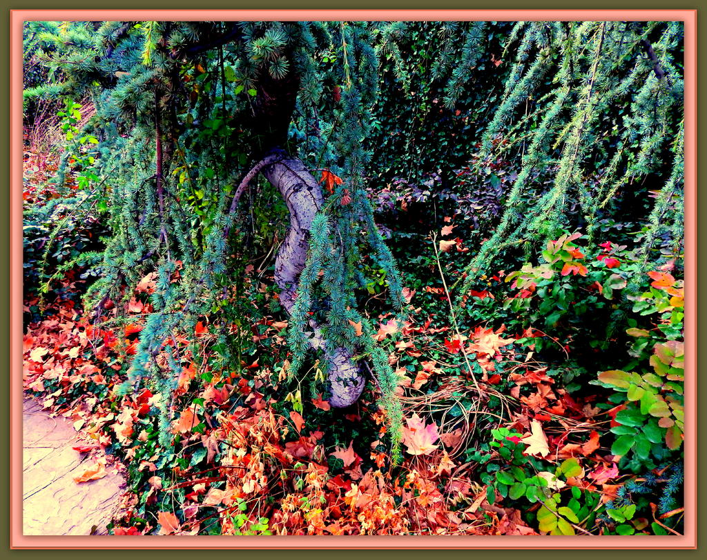 Autumn Colors 12-01-2014.jpg