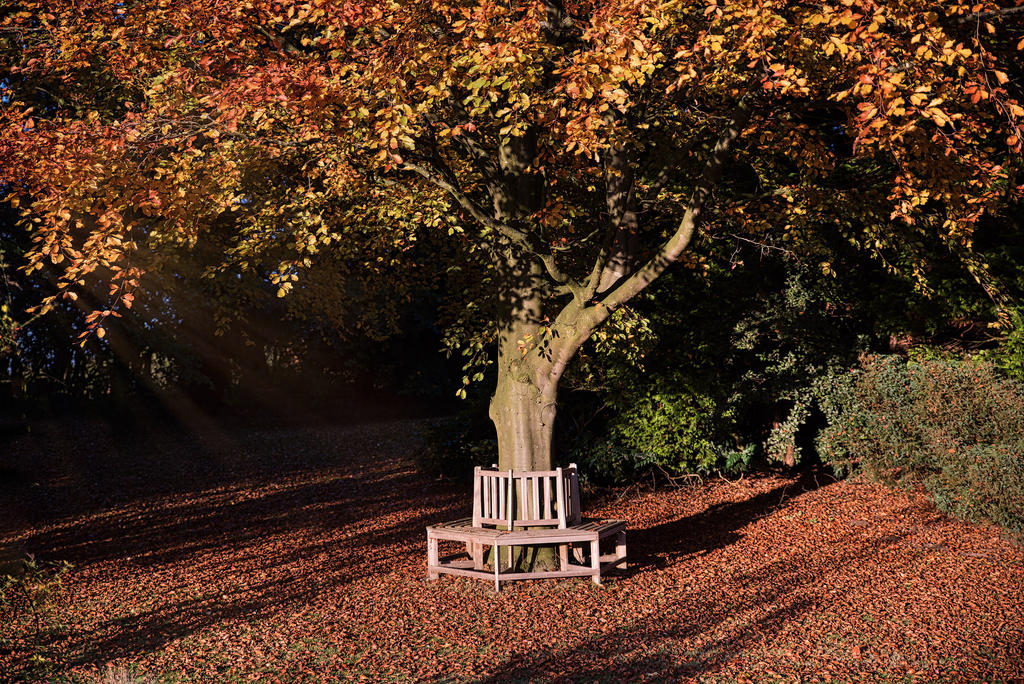 Autumn-Evening.jpg