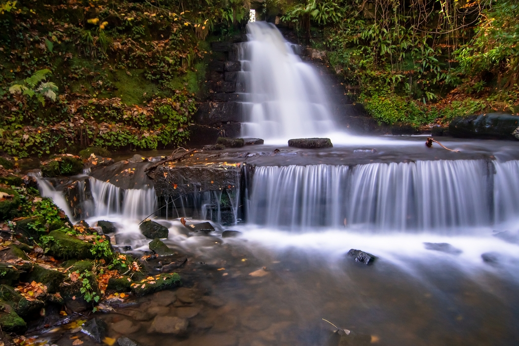 Autumn falls.jpg