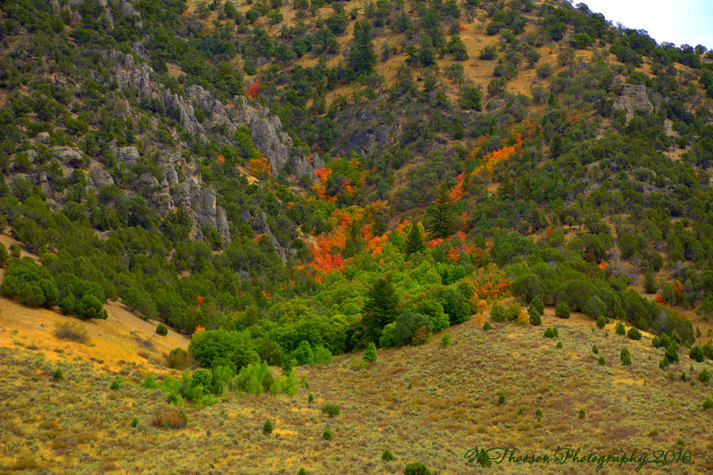 Autumn in Byington Mountains 9-4-2016.jpg