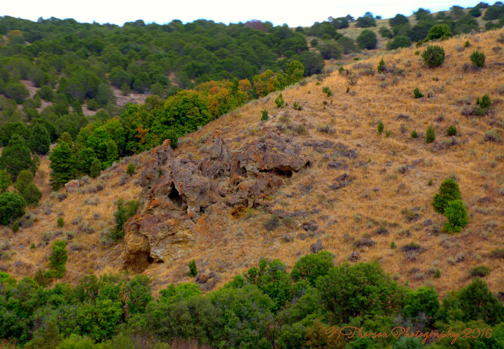 Autumn in Idaho 9-3-2016.jpg