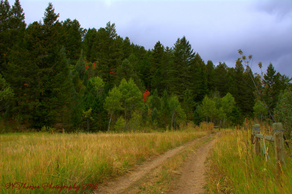 Autumn in the Lava Mountains 9-4-2016.jpg