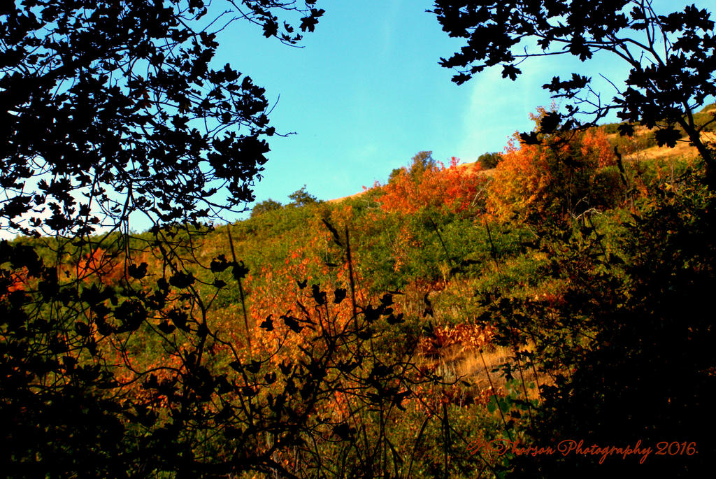 Autumn in the Mountains  9-17-2016.jpg