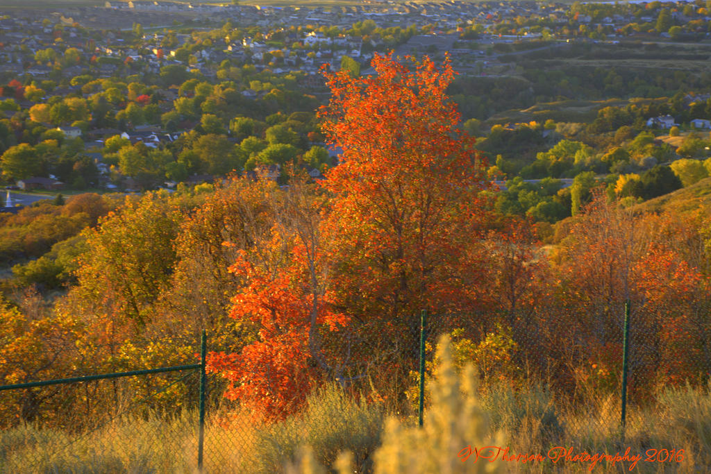 Autumn in the Valley 10-11-2016.jpg