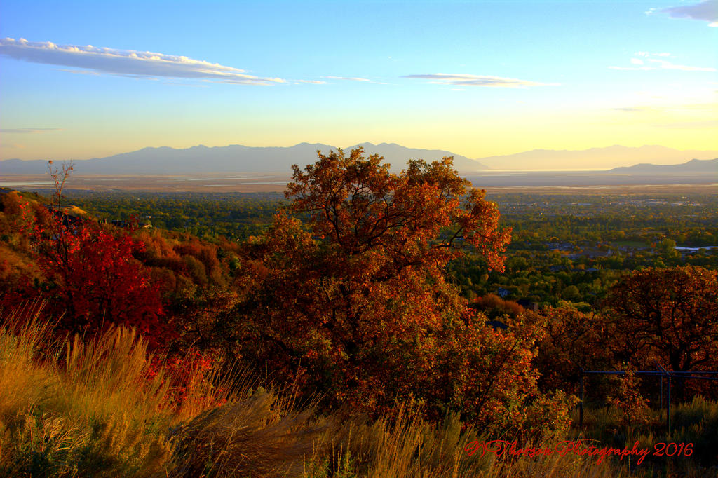 Autumn in the Valley #2 10-11-2016.jpg