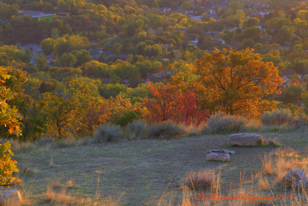 Autumn in the Valley #3 10-11-2016.jpg