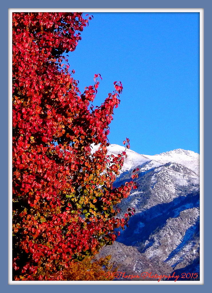 Autumn in Utah 2015.jpg