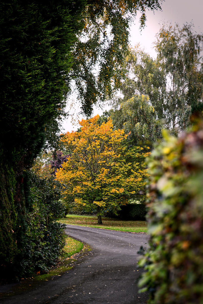 Autumn.jpg