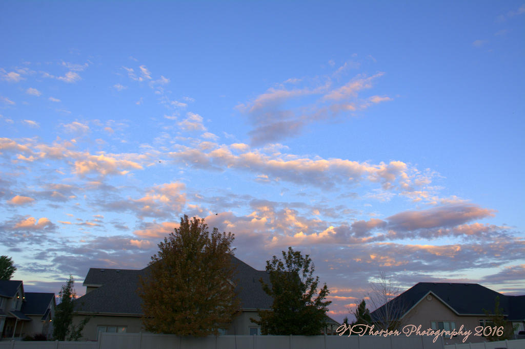 Autumn Morning #1 9-30-2016.jpg