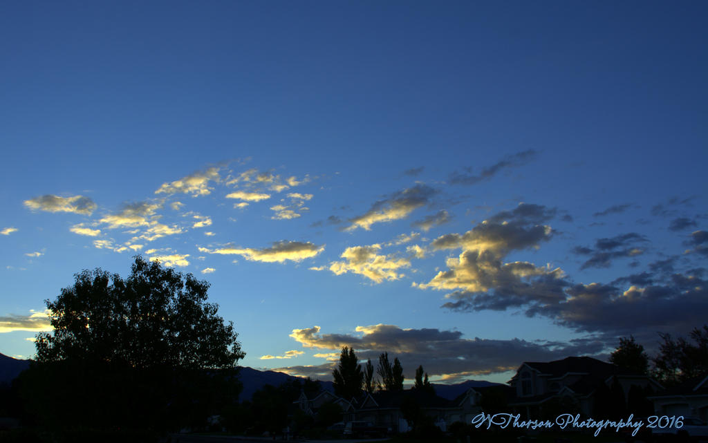 Autumn Morning #2 9-30-2016.jpg