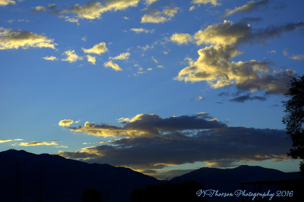 Autumn Morning #3 9-30-2016.jpg
