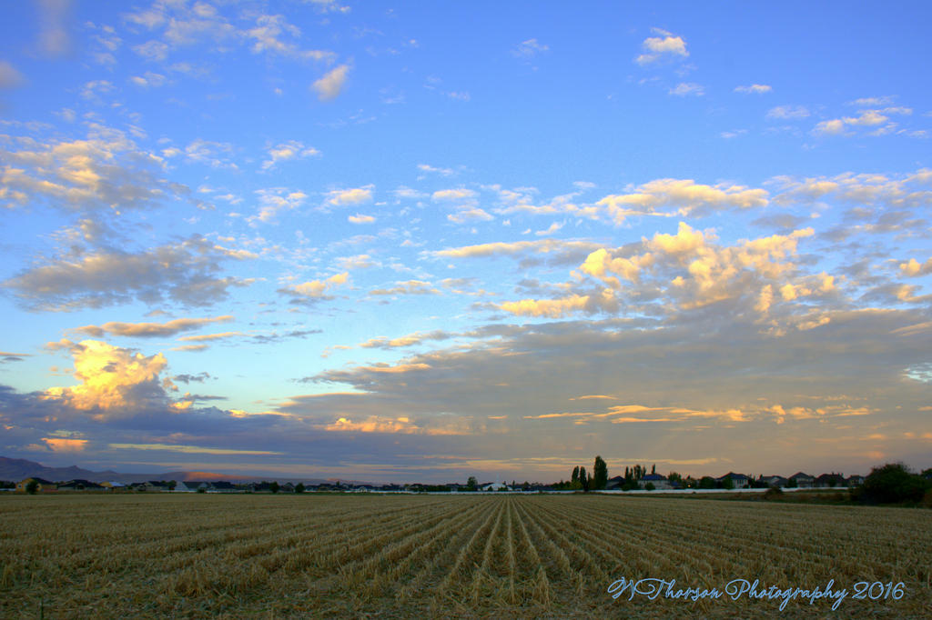 Autumn Morning #4 9-30-2016.jpg