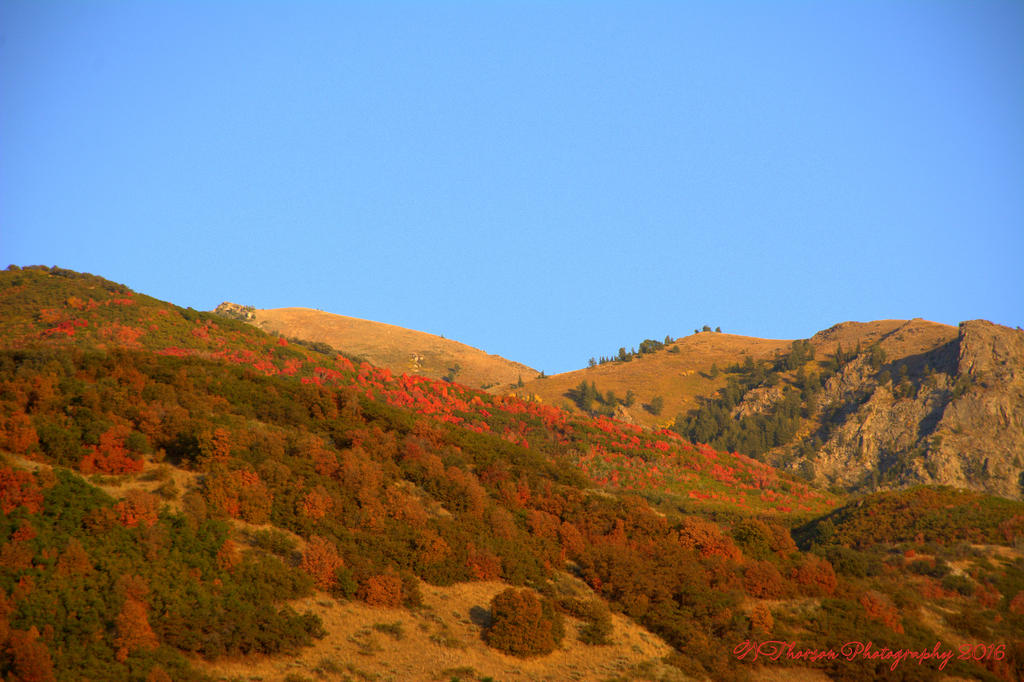 Autumn Mountains #2 9-20-2016.jpg