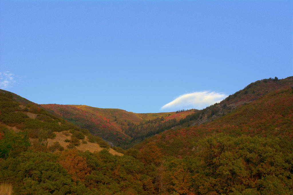 Autumn Mountains #3 9-20-2016.jpg