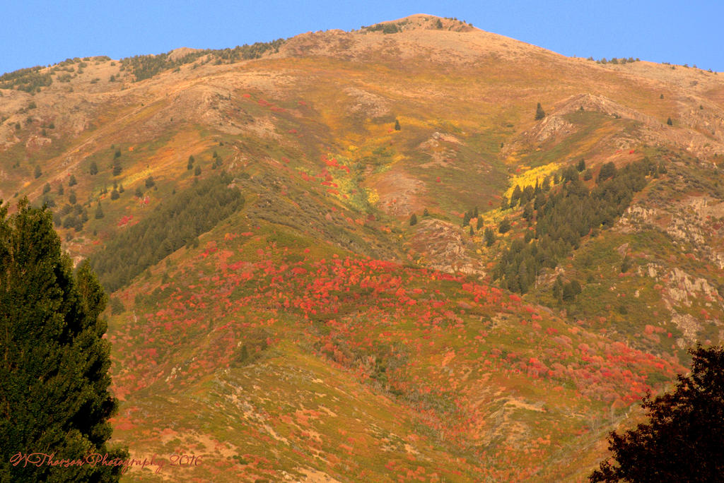 Autumn Mountains 9-20-2016.jpg
