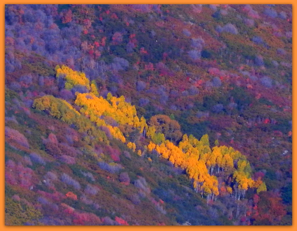 Autumn on the Wasatch Mountains.jpg