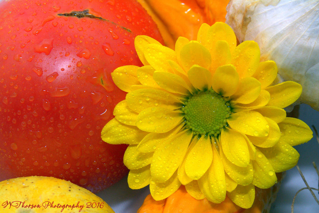 Autumn Produce  #4 9-29-2016.jpg